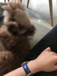-Hands Nail专业美甲美睫