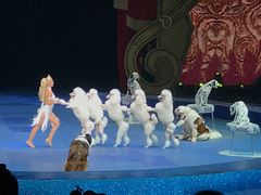 -珠海横琴长隆《卡卡虎奇遇记》