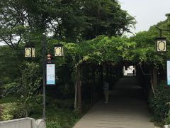 -白马涧龙池景区