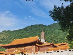 -深圳仙湖植物园
