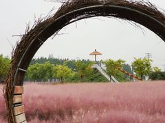 -嘉北郊野公园