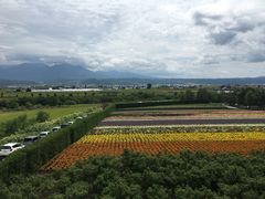 -富田农场