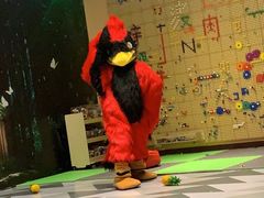 -杭州开元森泊度假乐园