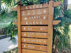-龙头寺公园