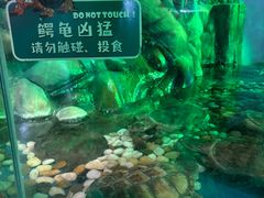 -太奥幻太奇海洋馆