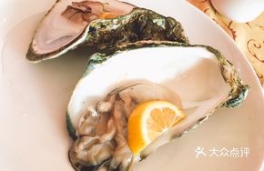 Grade A Large Oyster