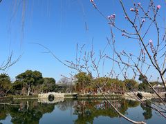 -无锡蠡湖国家湿地公园-蠡园