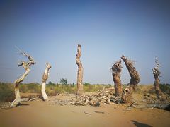 -亿利库布其七星湖沙漠生态旅游区