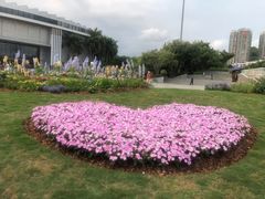 -深圳国际园林花卉博览园