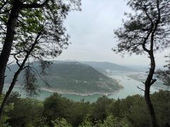 -铁山坪森林公园