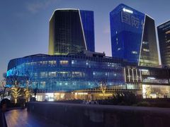 -吴淞口国际邮轮码头-停车场