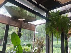 -野蔓果·山野菜(西湖景区·龙井茶田店)