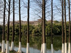 -艾溪湖湿地公园