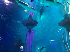 -沈阳海洋探索中心