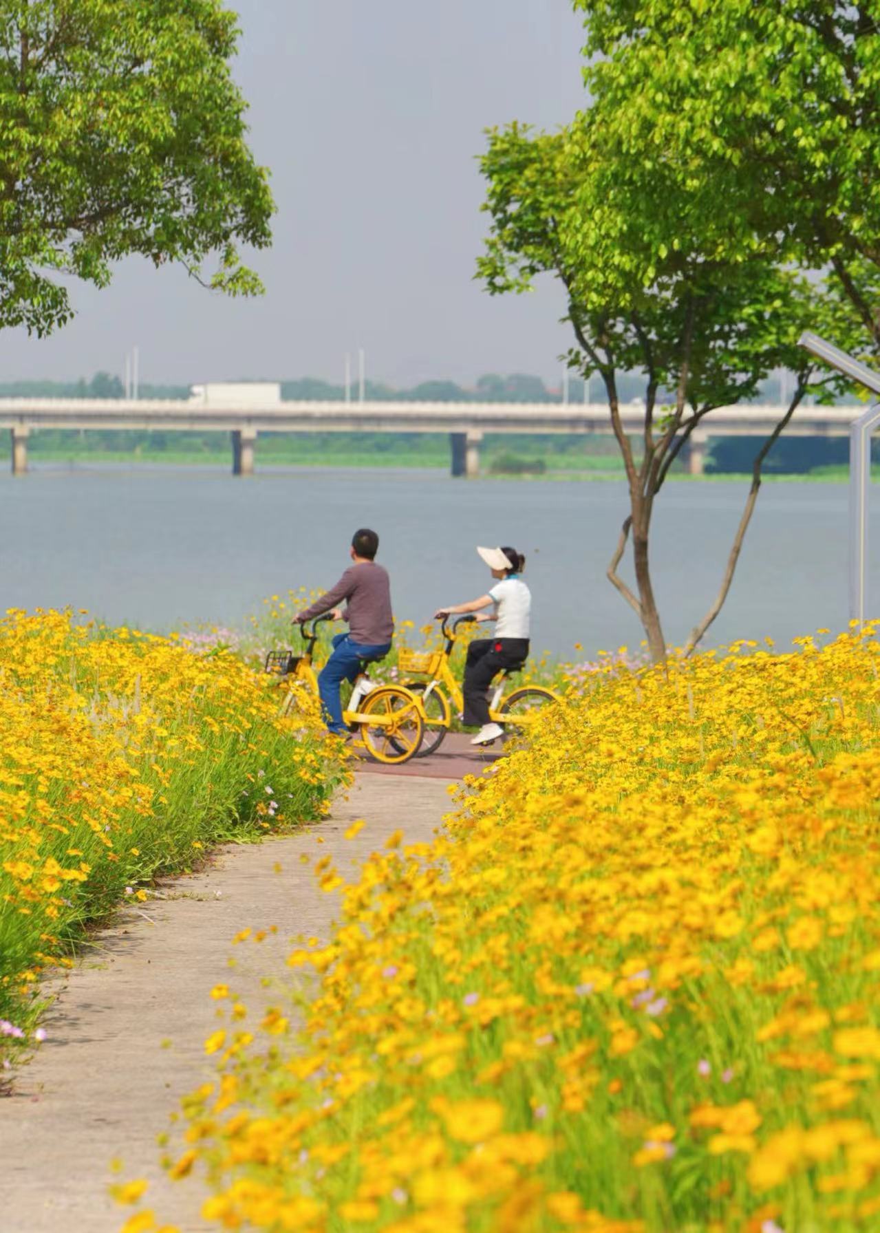 后官湖湿地公园电话图片