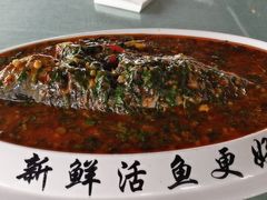 -鲜塘宴·千岛湖大鲫鱼(南湖店)