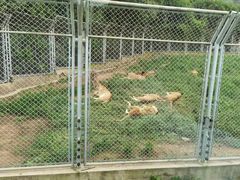 -西安秦岭野生动物园