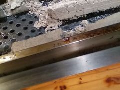 -欢乐牧人蒙古炭烤羊腿(四平路店)