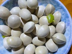 -腾冲国萍农家乐