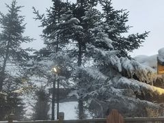 -汉拿山温泉度假酒店