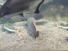 -太平洋海底世界