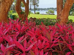 -上野德国文化村