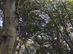 -波尔登森林公园
