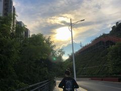 -小南山公园