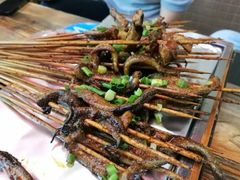 -晓靖轩烧烤(沙河风情店)