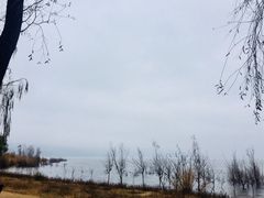 -阳宗海湿地