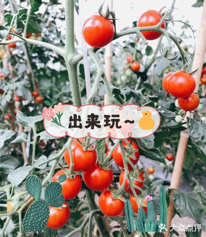 上海｜ 带着孩子👶快来这个亲子农场过六一吧