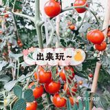 上海｜ 带着孩子👶快来这个亲子农场过六一吧