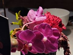 -狮王府淮扬菜(万象城店)