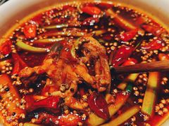 -鸽子侯·家宴·平价海鲜(市图书馆店)