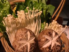 -同仁四季椰子鸡(海岸城天利店)