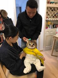 -龙文宝贝上门婴儿理发满月剃胎毛(总店)