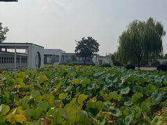 -费孝通江村纪念馆
