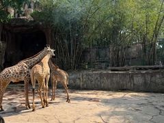 -长鹿旅游休博园