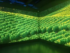 -北京张裕爱斐堡酒庄