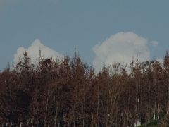 -金海湾滨江公园