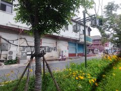 -采石矶景区