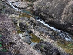 -广州白江湖森林公园