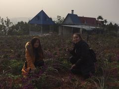 -中国香山·寿香谷