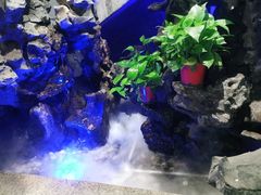 -印巷里主题餐厅(马鞍山店)