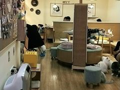 -滚猫咖啡·猫咖·猫友好撸猫(未来城店)