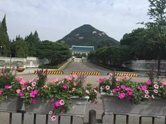 -乐天免税店(明洞店)