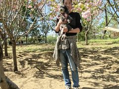 -长白岛森林公园