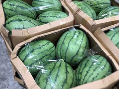 -双福水果批发市场