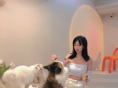 -More Fun猫咖 二十只万元加菲主题