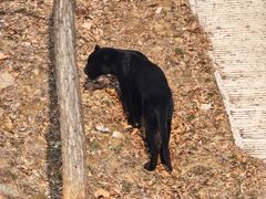 -石家庄市动物园